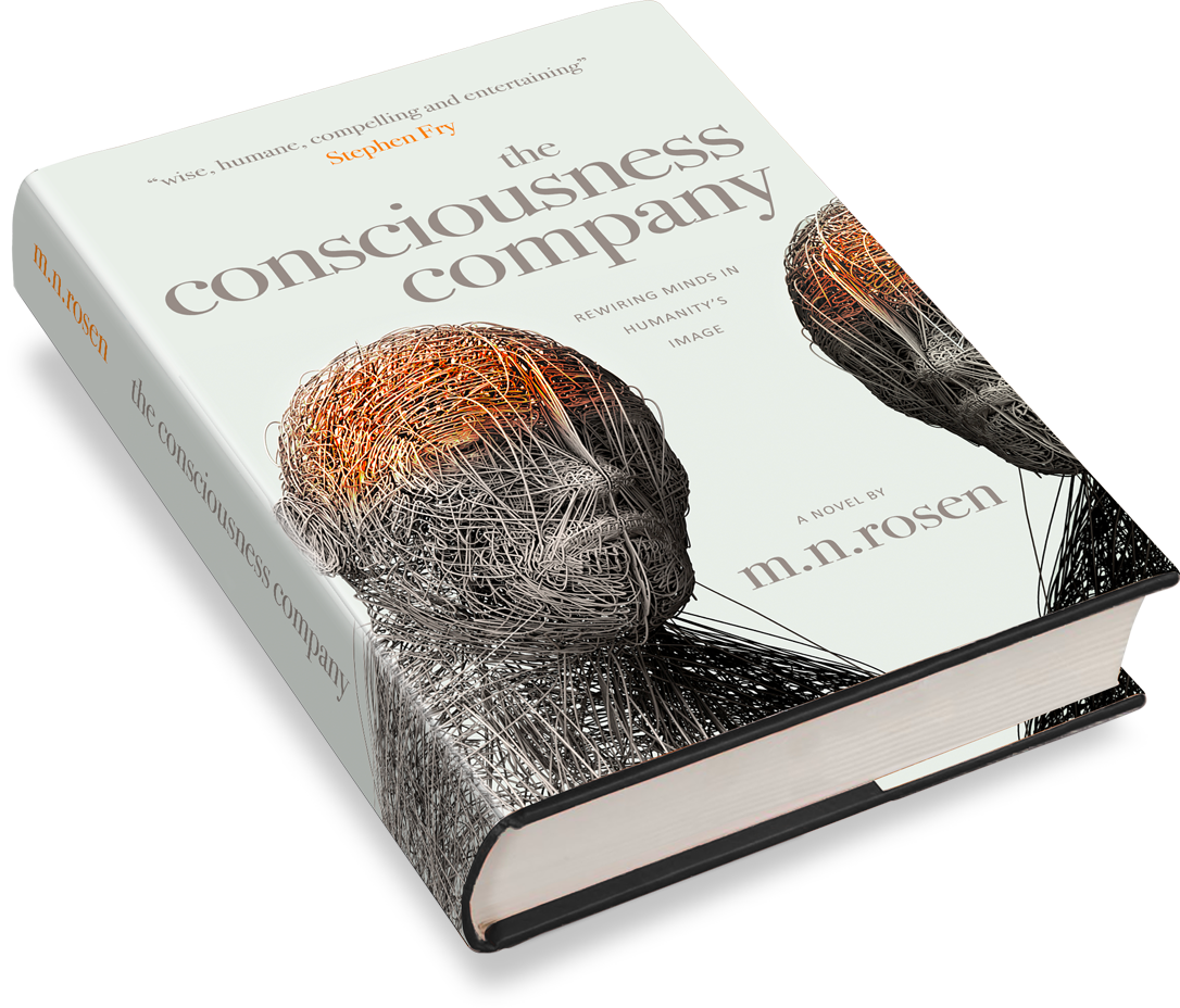 the consciousness company book cover